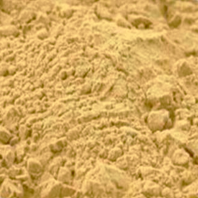 KATUJA POWDER (BITTER OLEANDER)